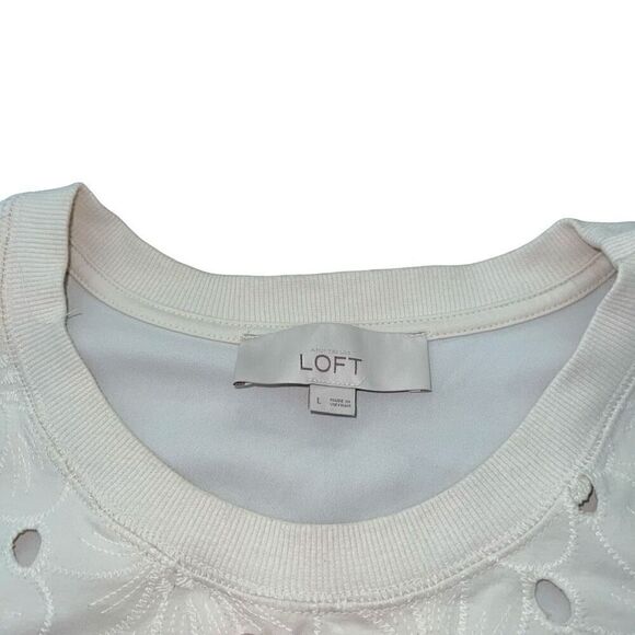 LOFT Cream Floral Embroidered Eyelet 3/4 Sleeve Blouse Size L - Picture 5 of 8